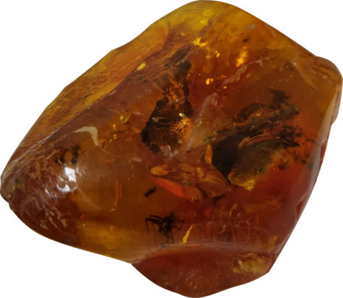 28 g Amber Nugget with inclusions (6)