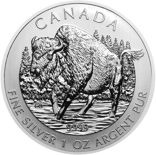 1 oz Buivolas (Buffalo) 2013 Kanada sidabrinė moneta (1)