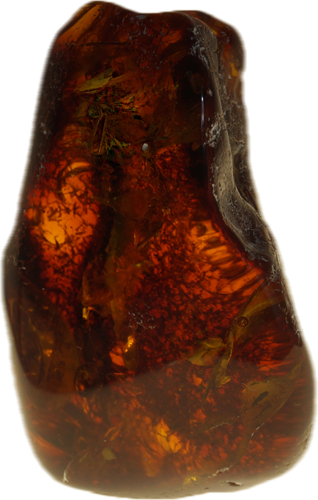 15,50 g Amber Nugget with inclusion (1)
