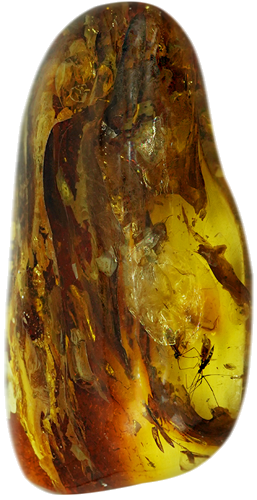 17,60 g Amber Nugget with fly inclusion (4)