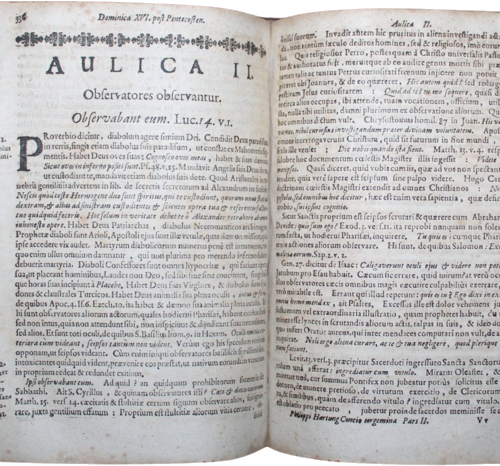 Antikvarinė knyga „Concionis Tergeminae Rusticae, Civicae, Aulicae...“ (2 dalis), 20 x 15,5 cm, 1700 m., Vokietija (3)