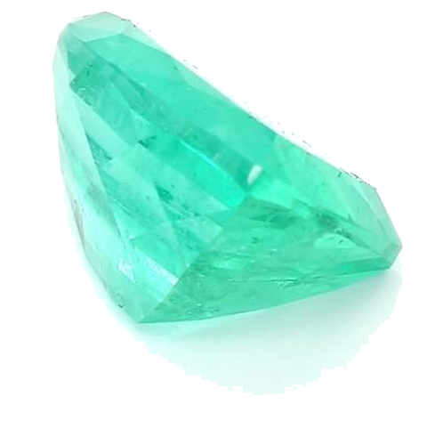 6.88 carat GREEN FANCY cut Other Smaragdas (1)