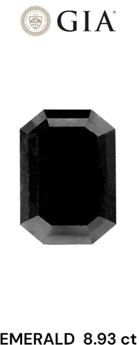 8.93 carat Fancy Black-VVS2 Natūralus Emerald Deimantas (1)