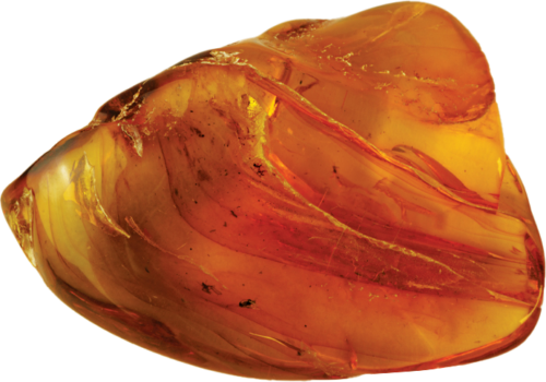 18,20 g Gintaro grynuolis su inkliuzu (3)