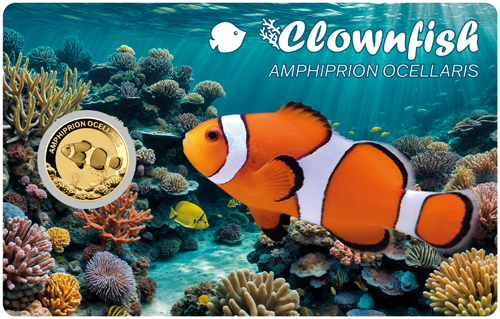 1/1000 oz Clownfish Amphiprion Ocellaris 3000 frankų Čadas auksinė moneta (1)