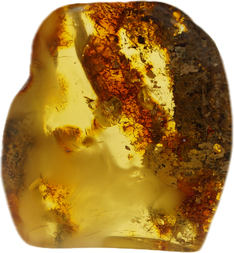 24,60 g  Amber Nugget (2)