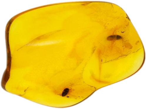 2,75 g Gintaro grynuolis su inkliuzu (1)