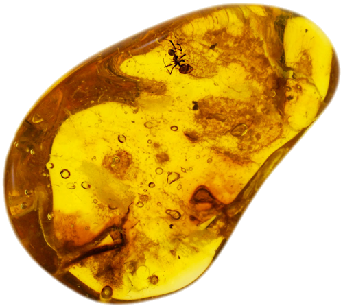 2,55 g Amber Nugget with Ant inclusion (1)