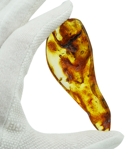 20,70 гр. Самороден кехлибар с фосил (1)