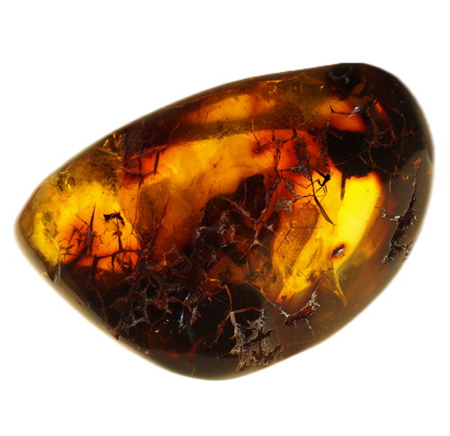 22,10 g Amber Nugget with 8 inclusions (2)
