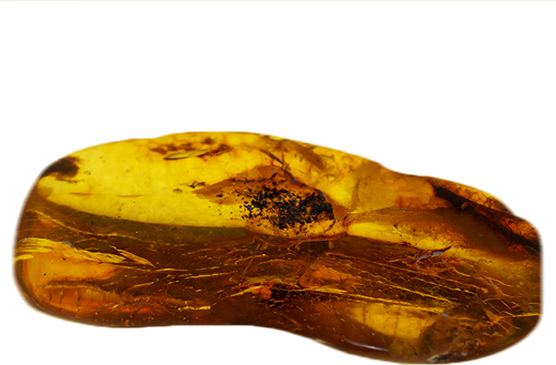 21,25 гр. Самороден кехлибар с фосил (1)