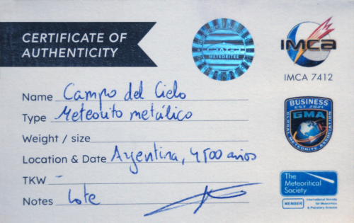 Meteorīts Campo del Cielo - Metāliskais meteorīts (5)