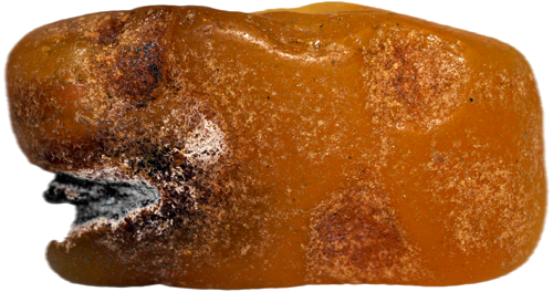 7.70 g Sea Amber Nugget (2)