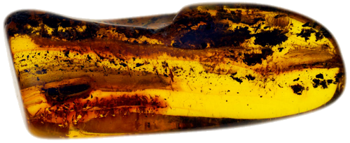 3,85 гр. Самороден кехлибар с фосил (1)