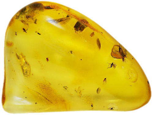 13,40 g Amber Nugget with inclusions (1)
