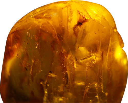 27 g Amber Nugget with inclusions (5)