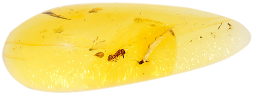 1,55 g Gintaro grynuolis su inkliuzu (1)