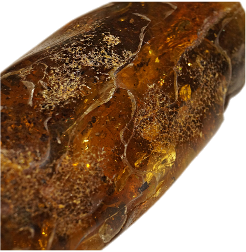 58 g Amber Nugget (3)