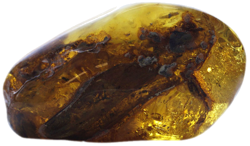 42,70 g Amber Nugget (2)