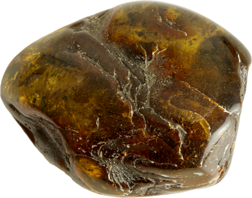 48,75 g Amber nugget with ant inclusion (2)