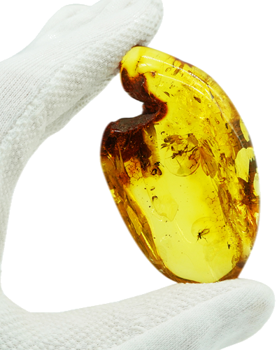 32,30 g Amber Nugget with inclusion (1)