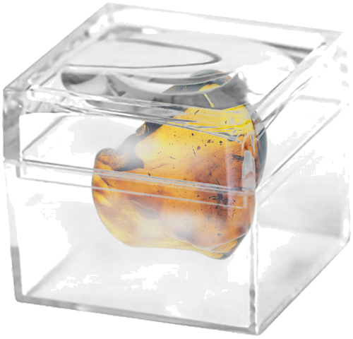 Самородок янтаря с инклюзом 5,40 г (2)