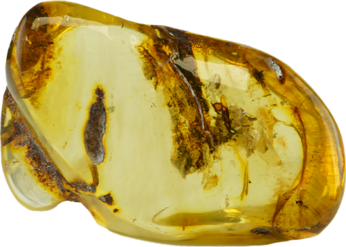 19,60 g Gintaro grynuolis (2)