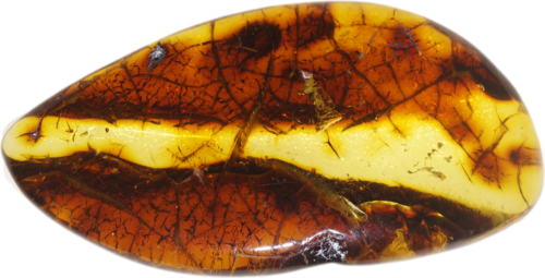 15,95 g Amber nugget (1)