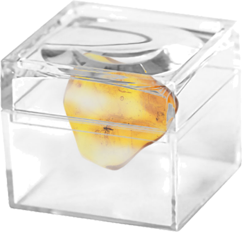 0,95 g Amber Nugget with inclusion (2)