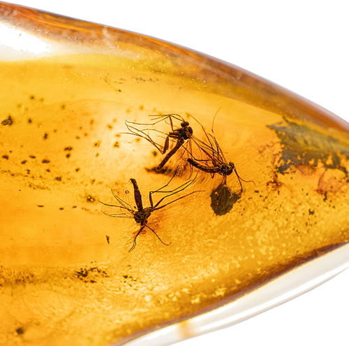 14,95 g Amber Nugget with inclusion (2)