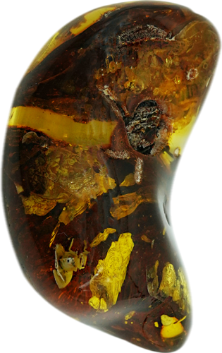 30,20 g Amber Nugget with inclusion (3)