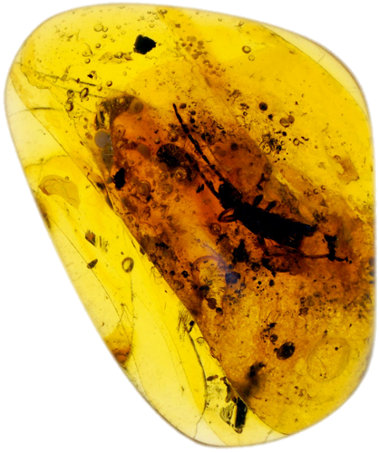 1,90 g Amber Nugget with inclusion (1)