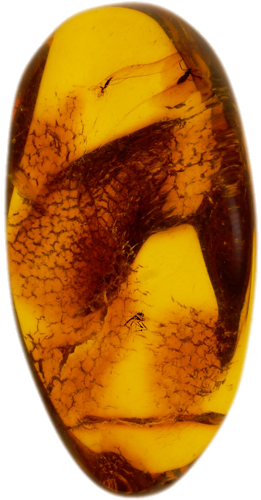 5,60 g Amber Nugget with inclusion (1)