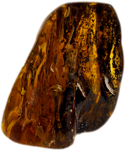 236 g Amber Nugget (3)