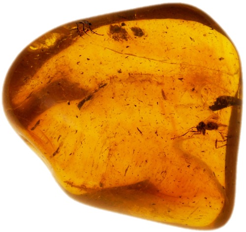 3,95 g Amber Nugget with inclusion (1)