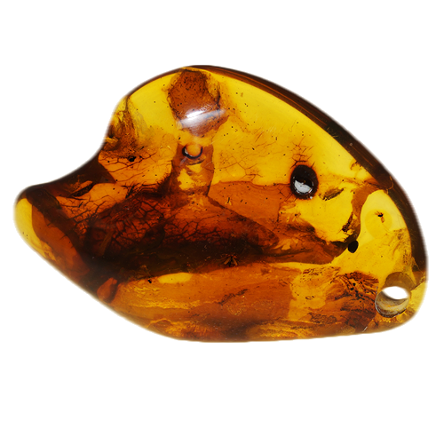22,70 g Amber Nugget with inclusion (4)