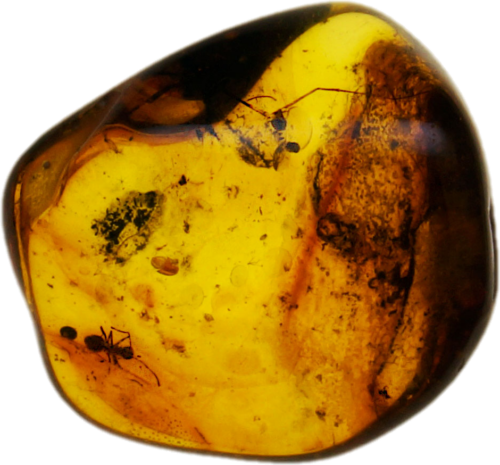 1,15 g Amber Nugget with inclusion (1)