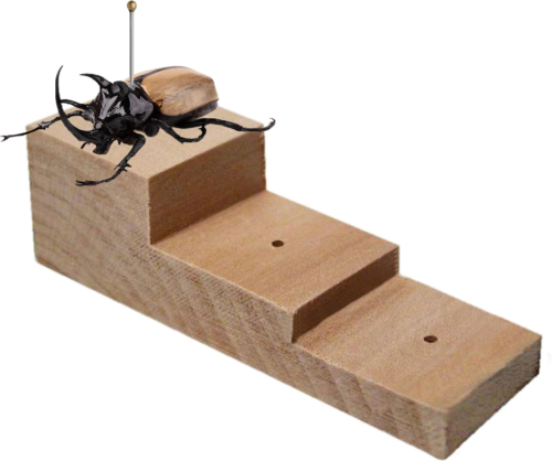 Smeigiamasis blokas vabzdžių preparavimui (1)