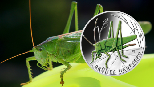 2024 Vācijas Grasshopper monēta 5 eiro (2)