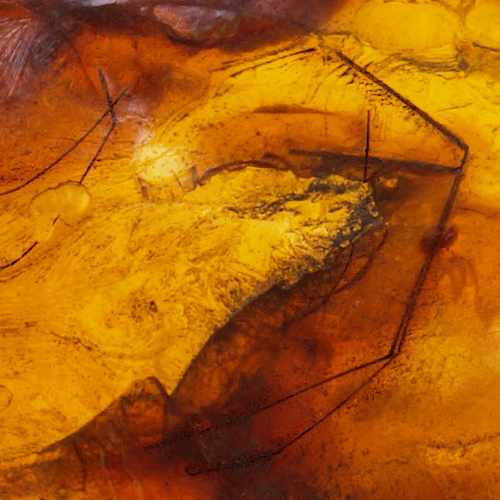 4,45 g Amber Nugget with Spider legs inclusions (2)