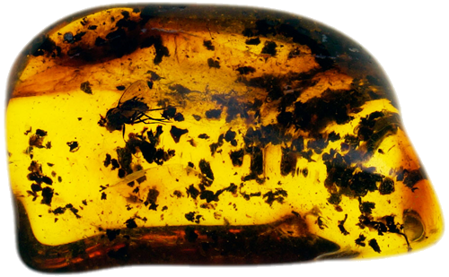 2,65 g Amber Nugget with inclusion (1)