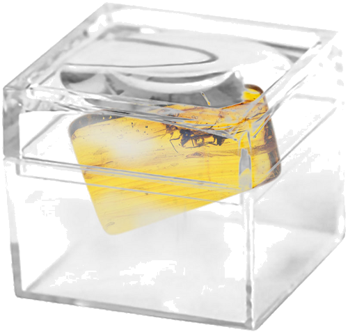 4,15 гр. Самороден кехлибар с фосил (2)