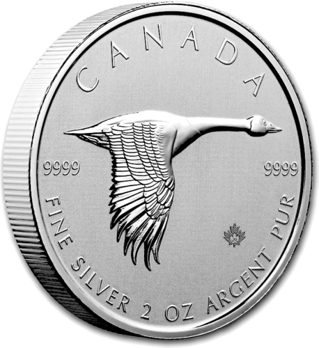 2 oz Goose 2020 Canada silver coin (2)