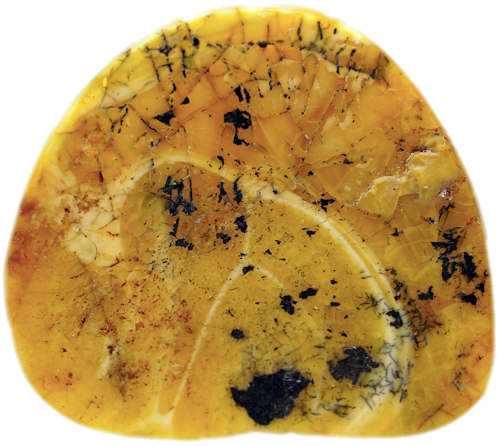 3.15 g Amber Nugget (2)