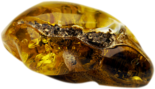 20.25 g Amber Nugget (4)