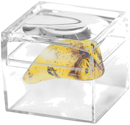 1,40 g Gintaro grynuolis su inkliuzais (2)