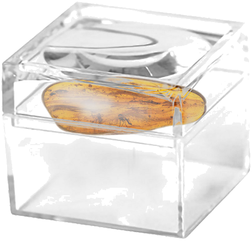 Самородок янтаря с 4 инклюзами 1,55 г (2)