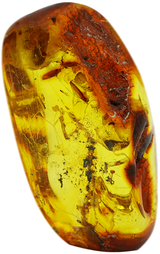 20,55 g Amber Nugget with inclusion (1)