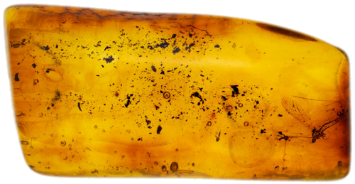 3,65 g Amber Nugget with inclusion (1)