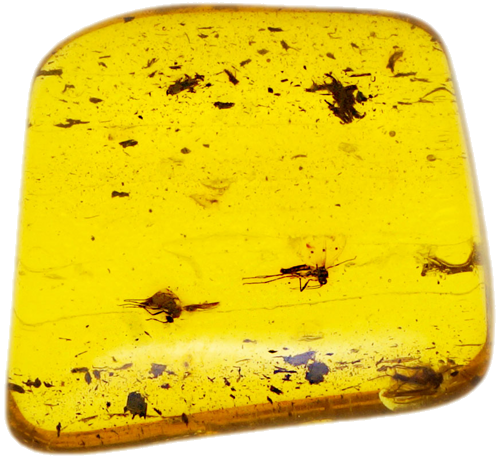 2,35 g Amber Nugget with inclusion (1)